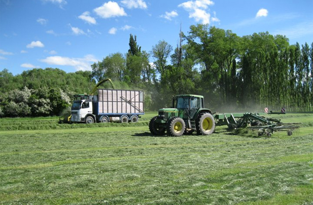 Flintoft Contractors Grass silage specialists
