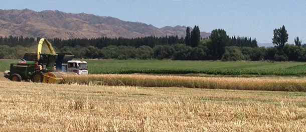 Harvesting Flintoft Contractors