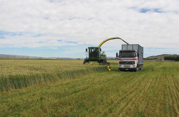 Barley Silage Flintoft Contractors