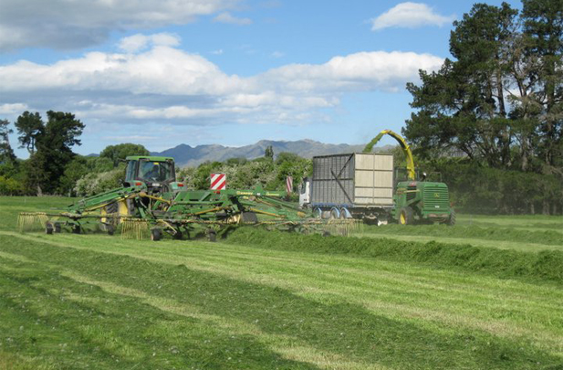 Flintoft Contracting Culverden Silage Contractors