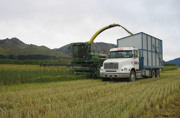 Heading silage Flintoft Contractors