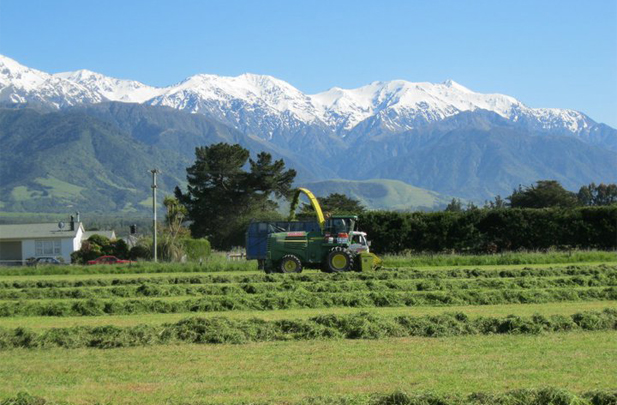 Kaikoria Flintoft Contractors Silage