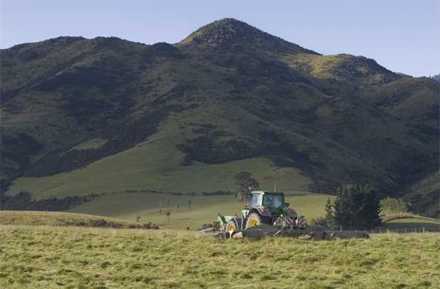 Mowing Flintoft Contractors