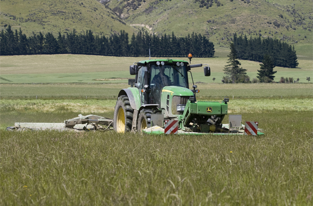 Mowing contractor Flintoft Culverden