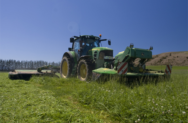 Mowing grass Flintoft Contractors