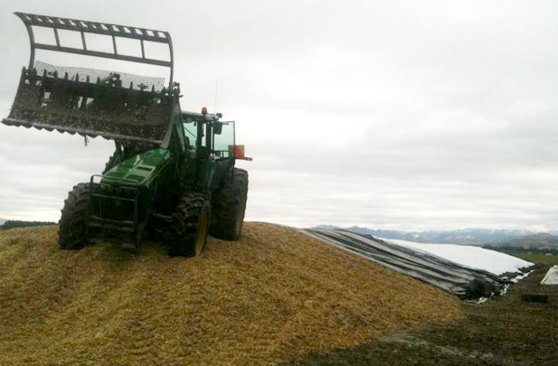 Stack tractor on silage stack Flintoft Contractors