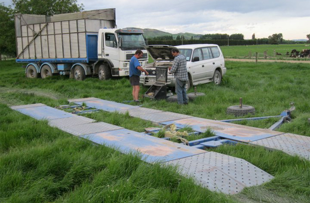 weighbridge Flintoft Contracting