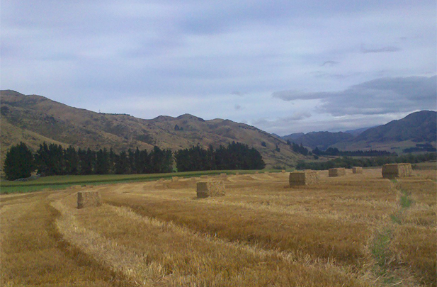 Flintoft Contractors Square Bales